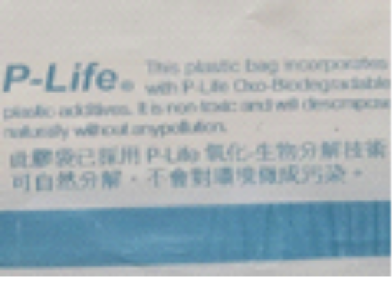 P-Life