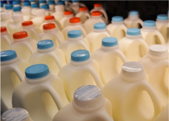 Milk jug
