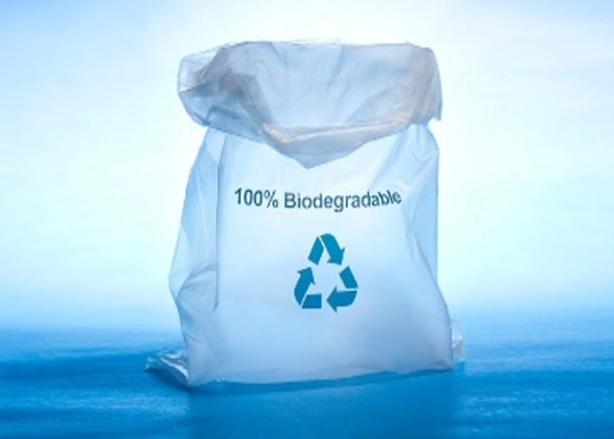 Plastic bag
