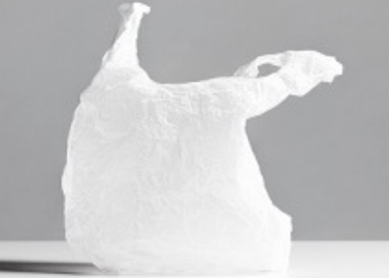 Plastic bag